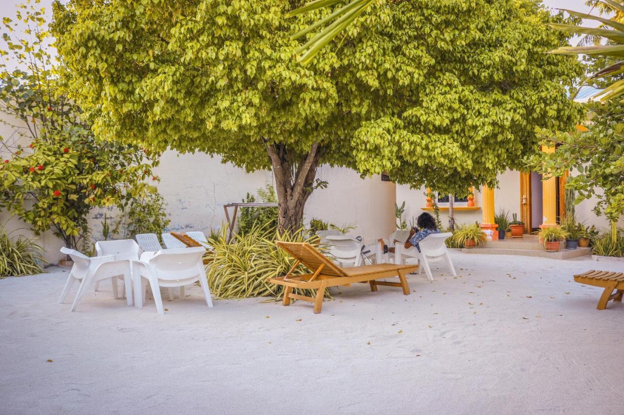 Summer Vibes Beach Front Rasdhoo 외부 사진